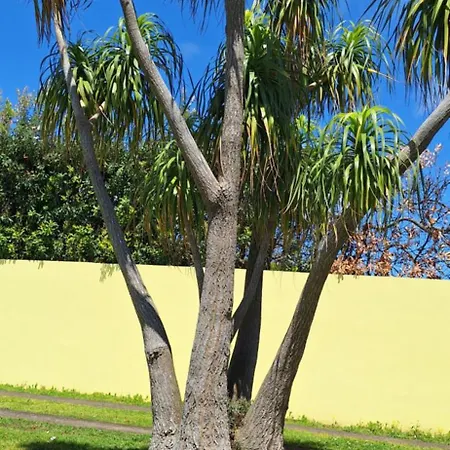 Garden House * São Vicente Ferreira